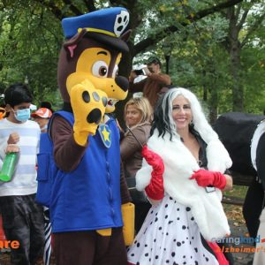 CaringKind Walk for Alzheimers Dr. Alisa Kauffman Chair 2021